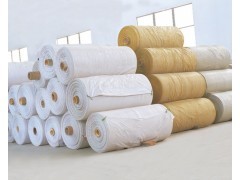 卷裝塑料編織布與復合膜 佛山市南海德龍塑料實業(yè)的專業(yè)供應